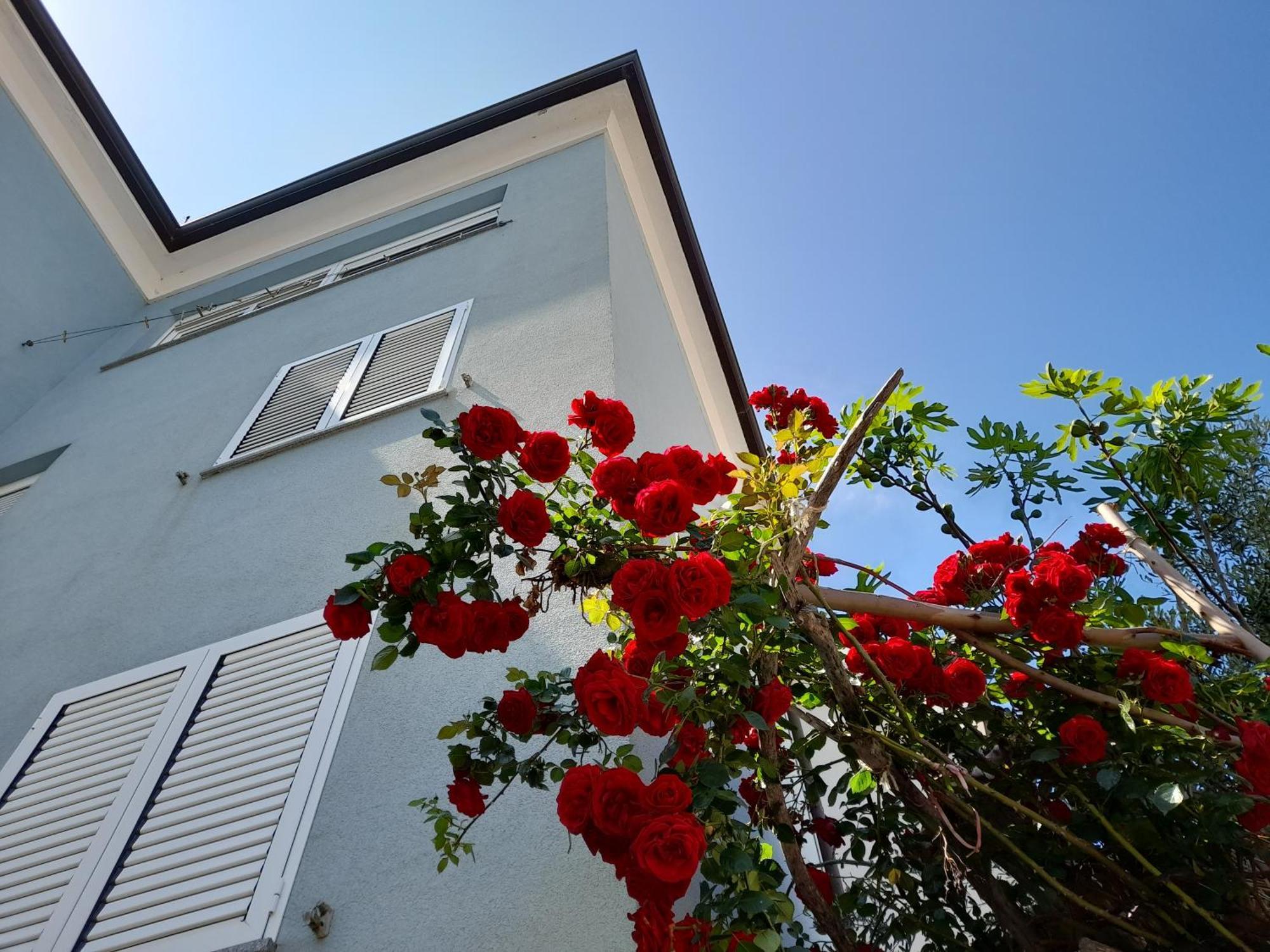 Lea Apartment โรวีน ภายนอก รูปภาพ